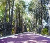 Ruta ciclista per les Alqueries de Picanya, Xirivella i Alaquàs
