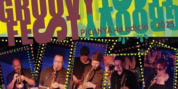 cartell_groovy_fest_2025